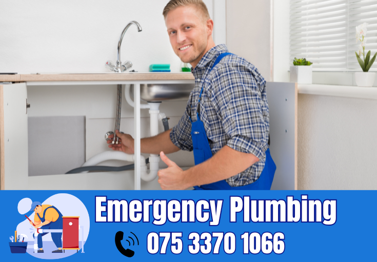  plumber New Hythe