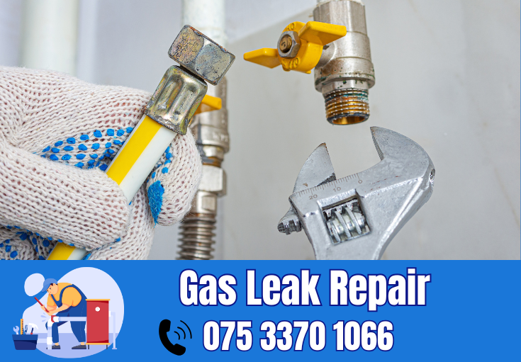 gas leak repair Aylesford